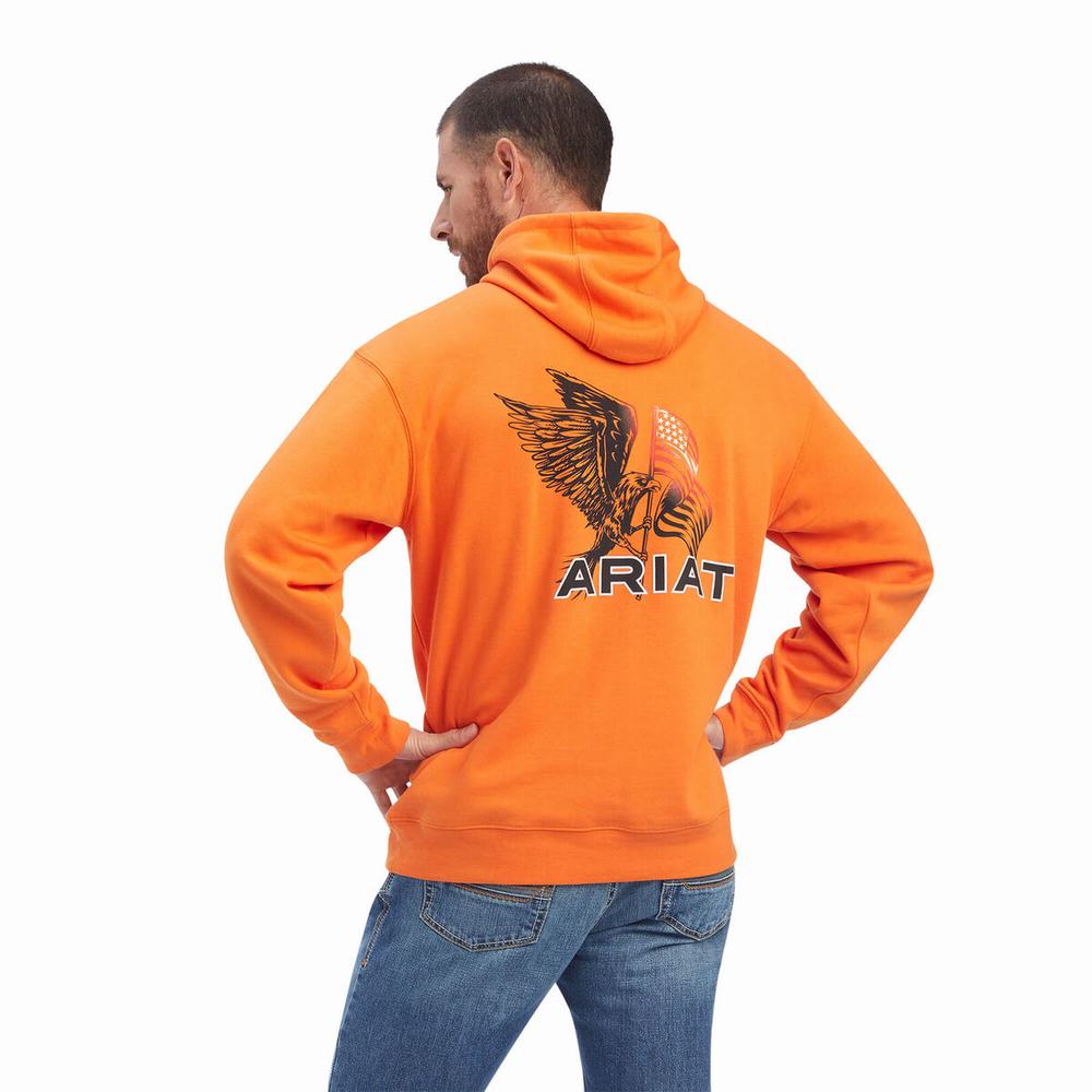 Ariat Free Bird Hoodie Herr Olika Färger | 642-OYLBHG