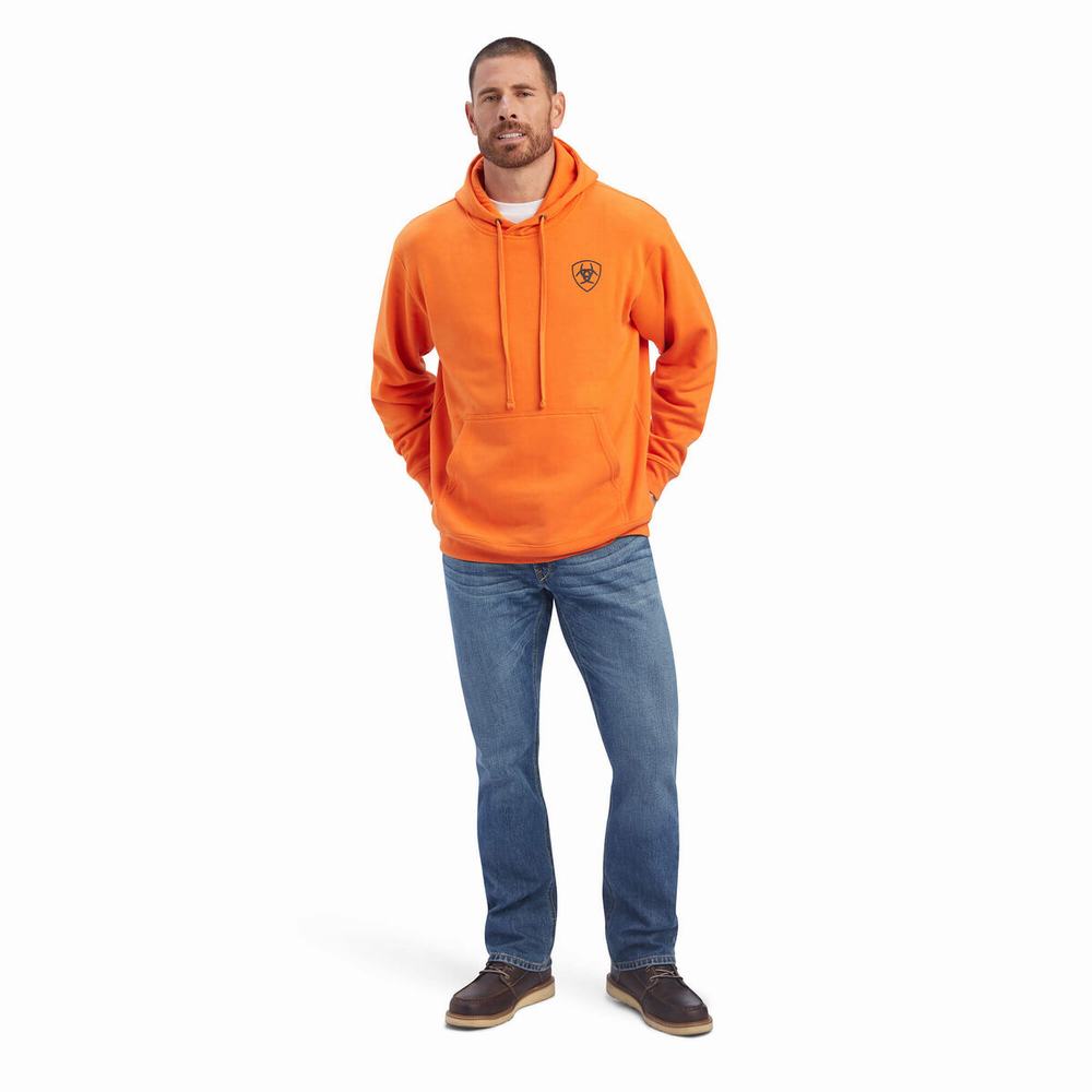 Ariat Free Bird Hoodie Herr Olika Färger | 642-OYLBHG