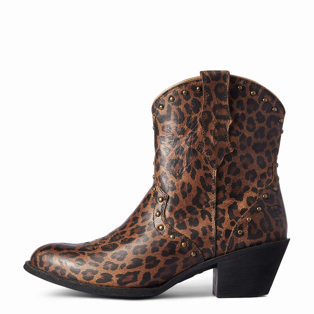 Ariat Gracie Kängor Dam Leopard | 264-IYFQSC