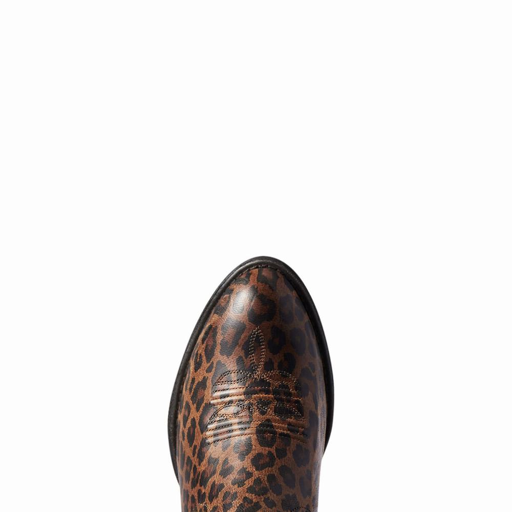 Ariat Gracie Kängor Dam Leopard | 264-IYFQSC