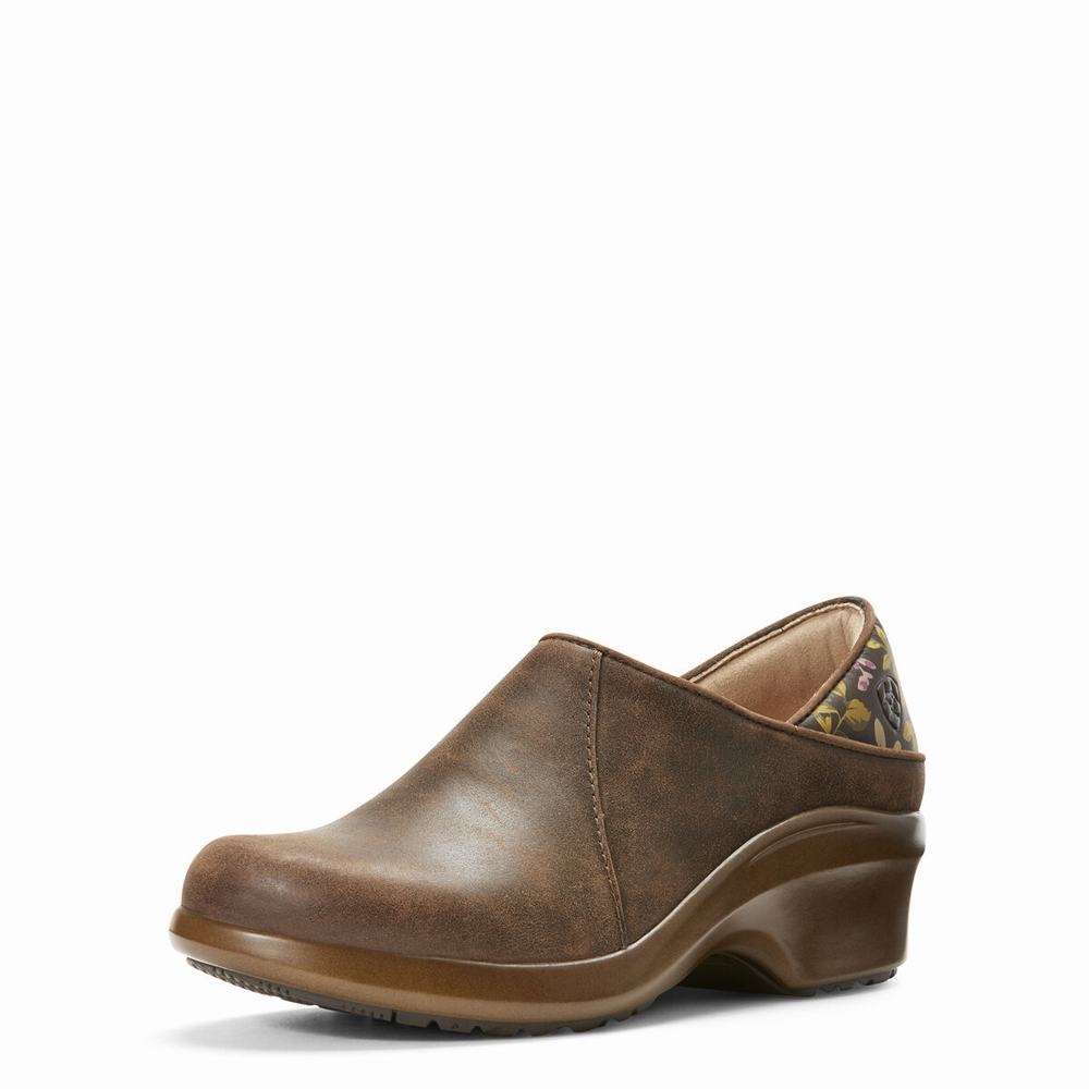 Ariat Hera Expert Arbetskängor Dam Bruna | 279-IWSNKX