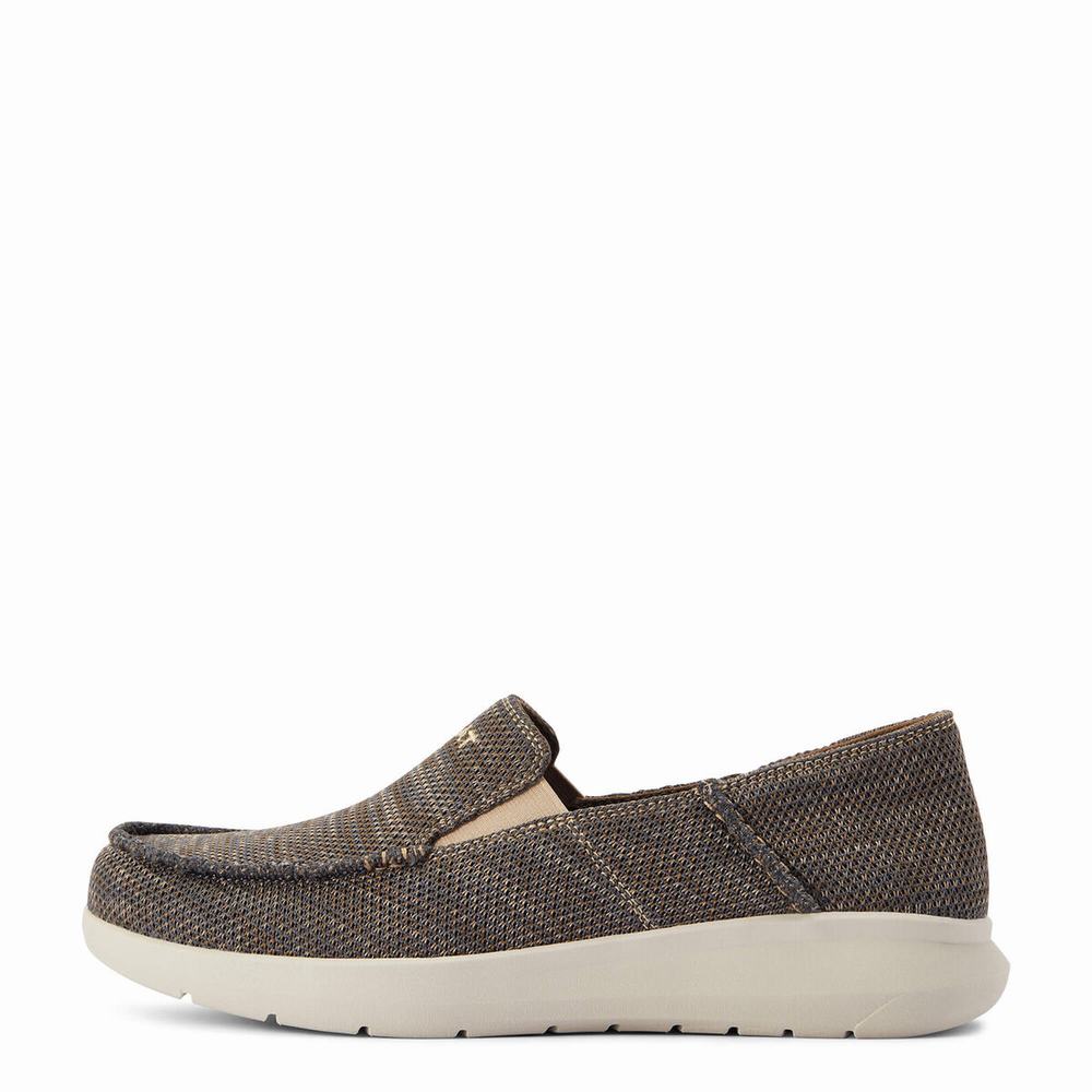 Ariat Hilo 360 Sneakers Herr Bruna | 085-GMDLHA