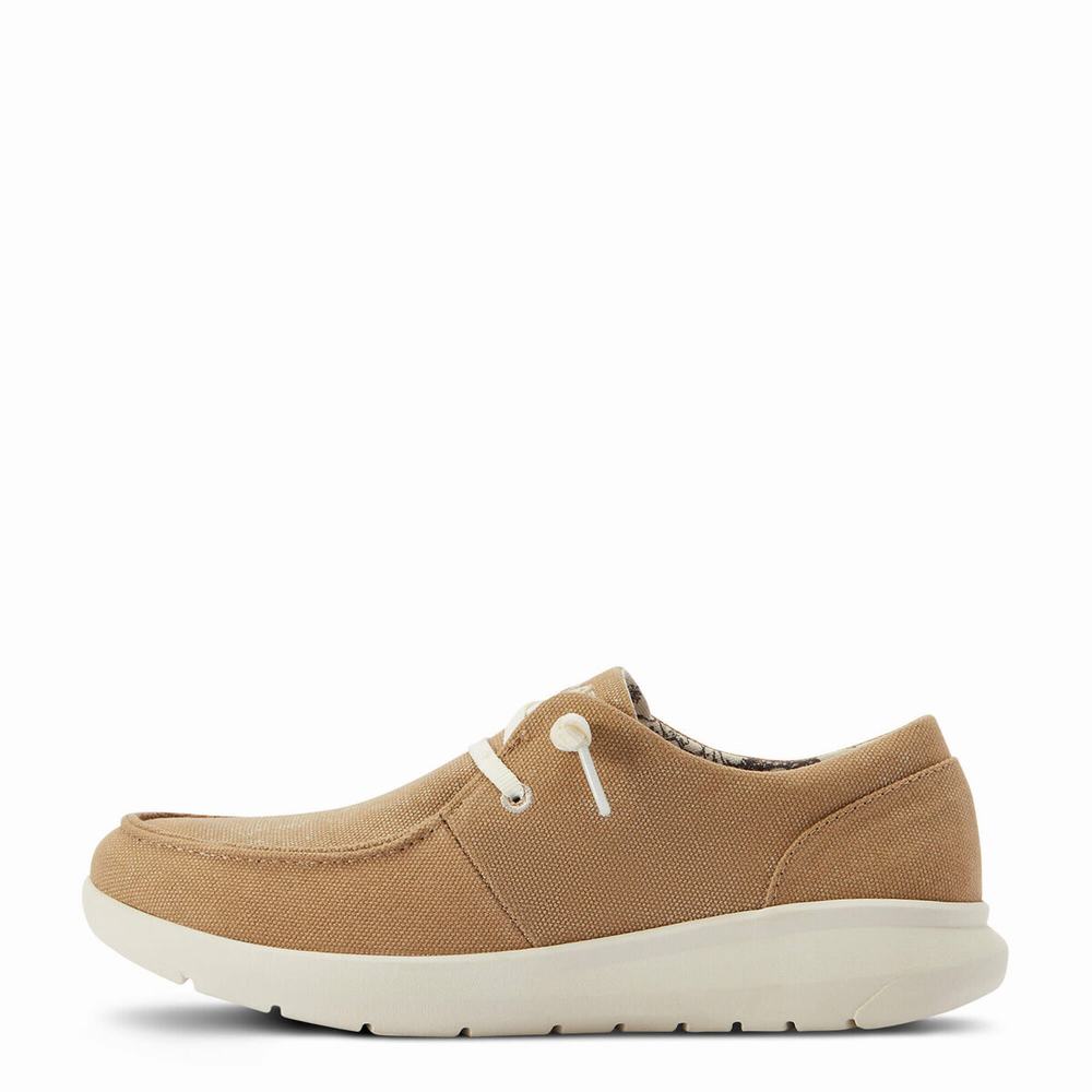 Ariat Hilo Sneakers Dam Bruna | 295-LZESMW