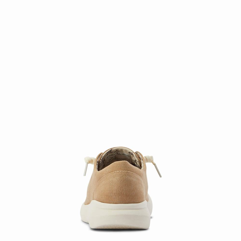 Ariat Hilo Sneakers Dam Bruna | 295-LZESMW