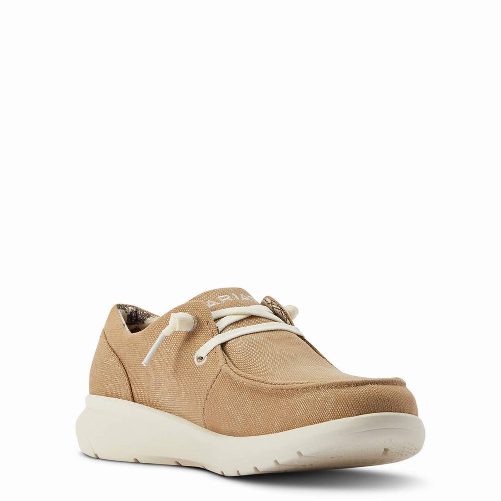 Ariat Hilo Sneakers Dam Bruna | 295-LZESMW