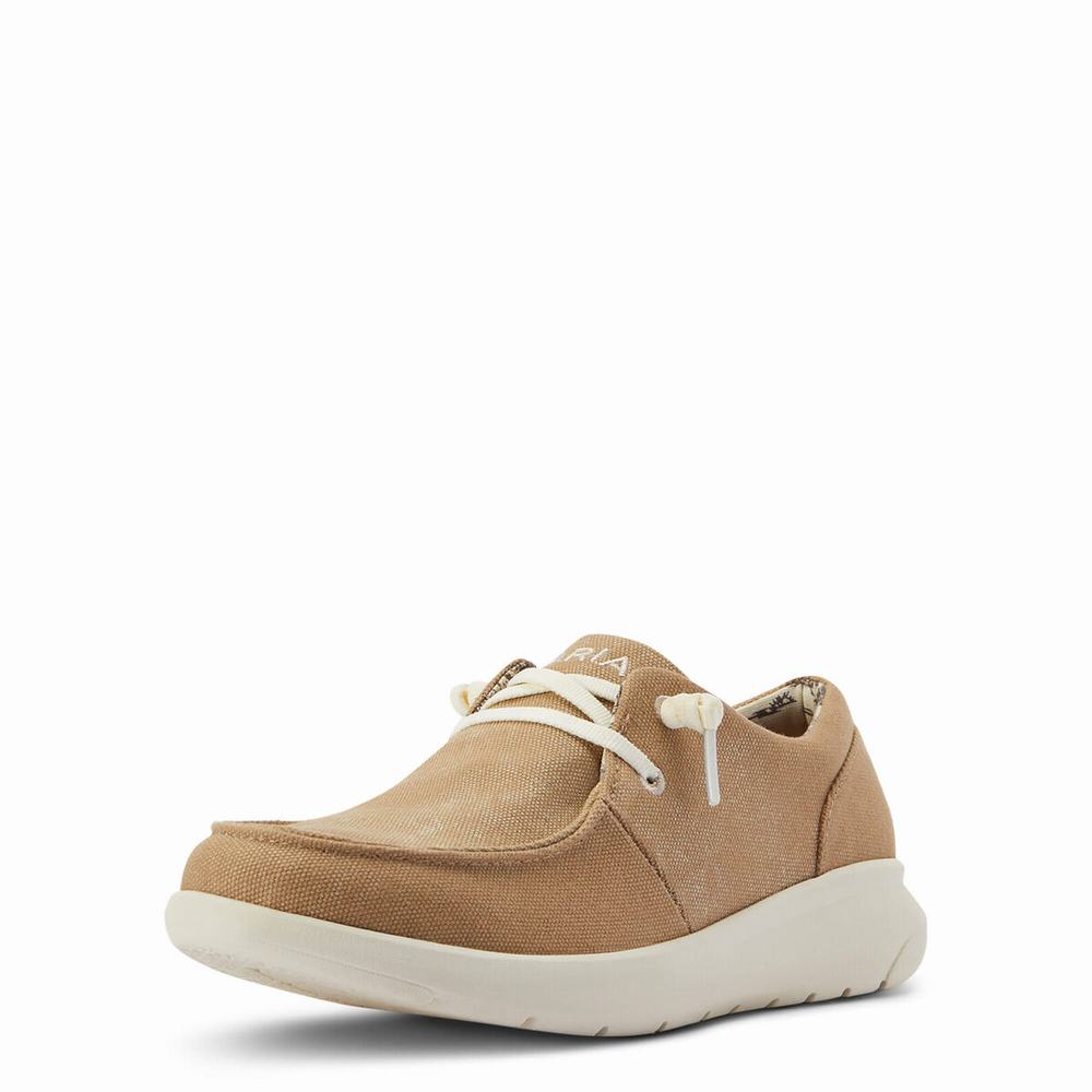 Ariat Hilo Sneakers Dam Bruna | 295-LZESMW