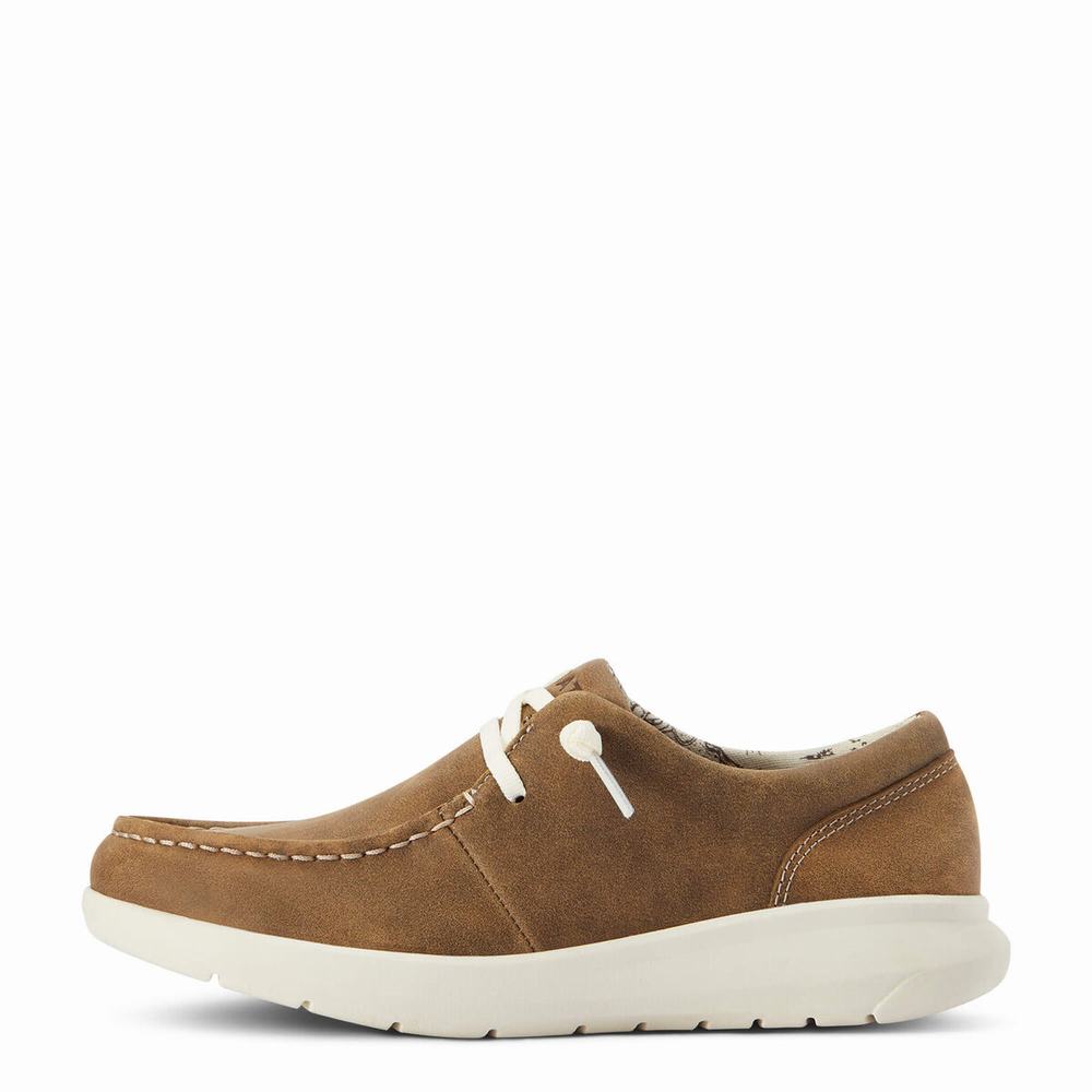 Ariat Hilo Sneakers Dam Bruna | 436-FPZWSY