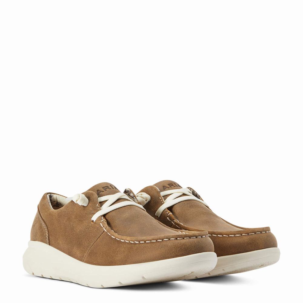 Ariat Hilo Sneakers Dam Bruna | 436-FPZWSY