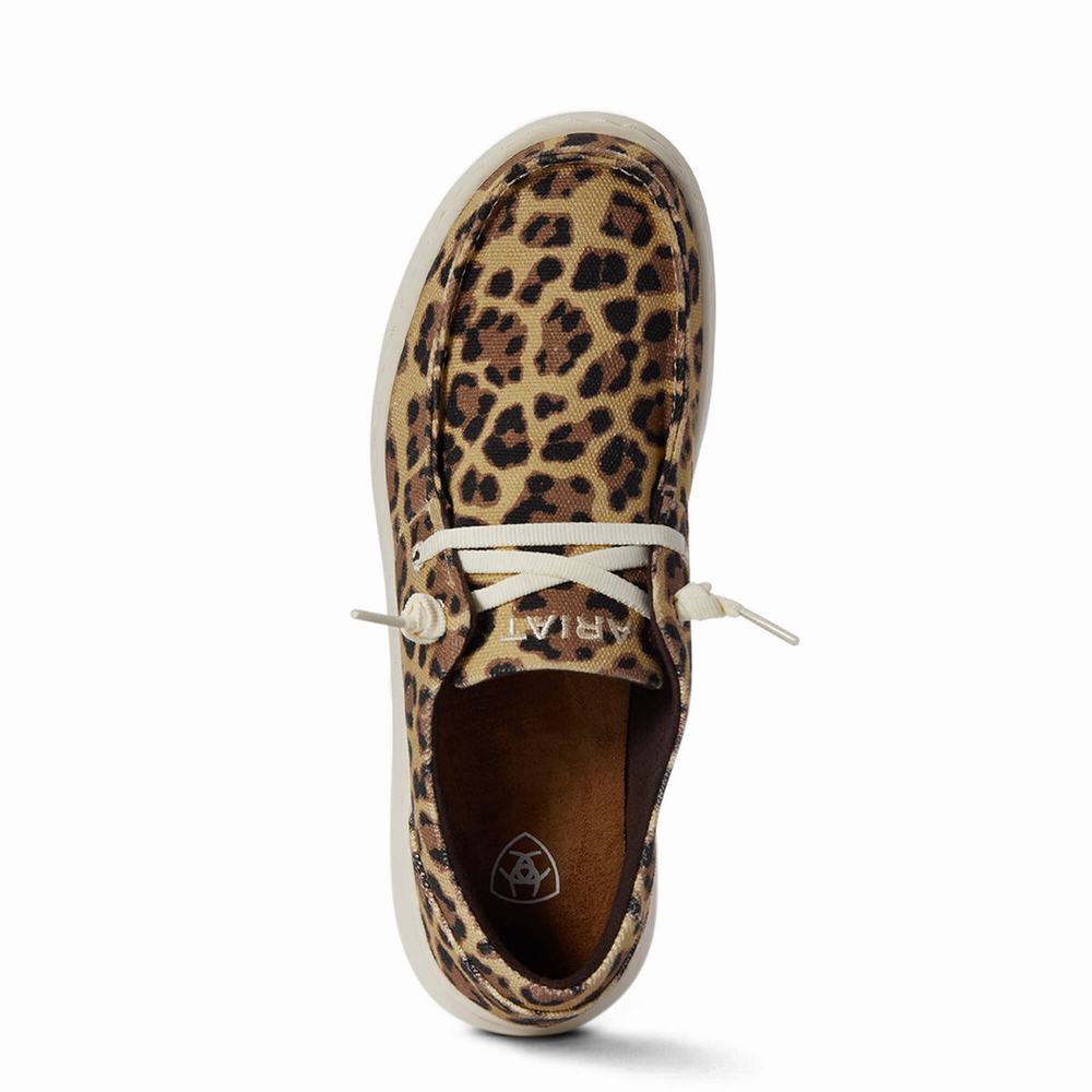 Ariat Hilo Sneakers Dam Leopard | 816-OTMHZQ