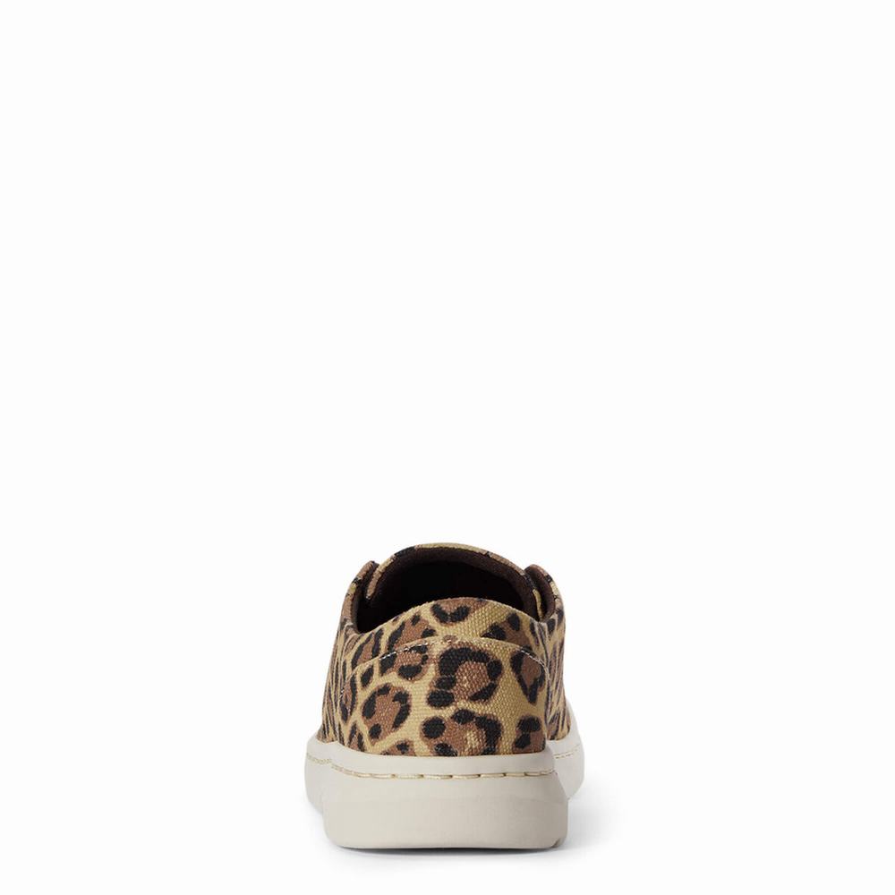 Ariat Hilo Sneakers Dam Leopard | 816-OTMHZQ