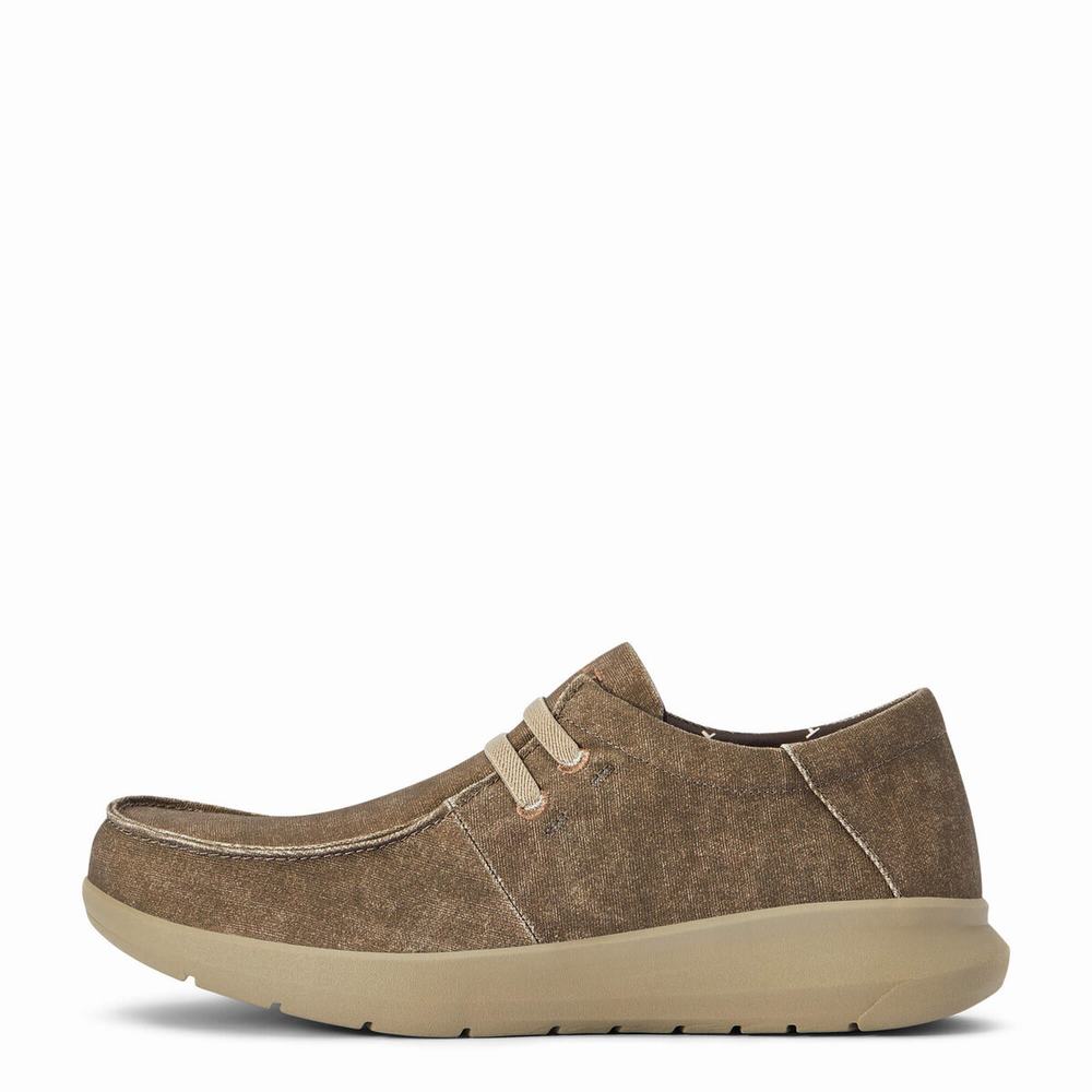 Ariat Hilo Stretch Sneakers Herr Bruna | 430-WUTJDK