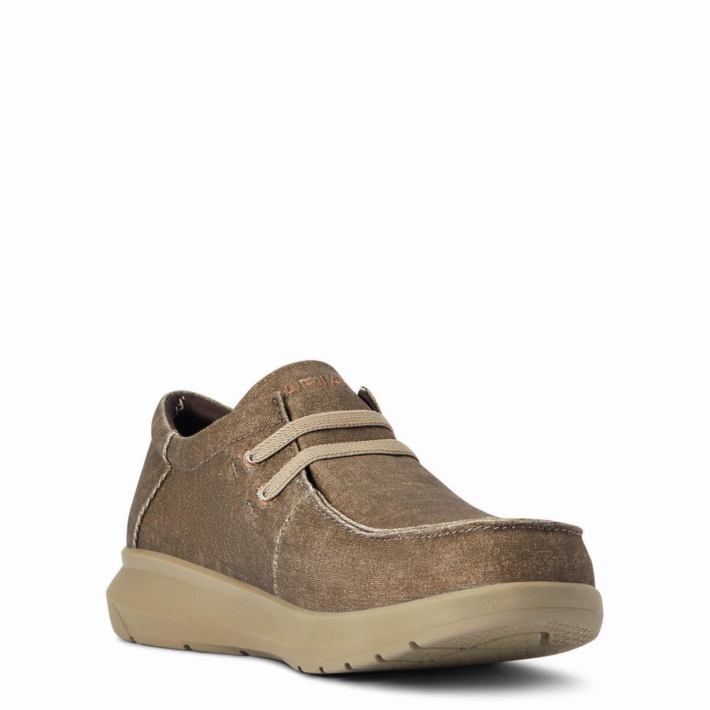 Ariat Hilo Stretch Sneakers Herr Bruna | 430-WUTJDK