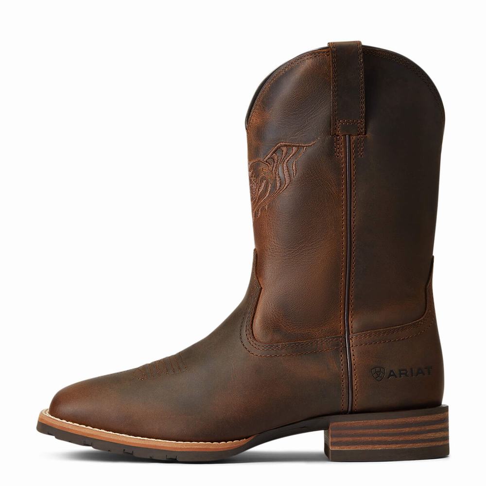 Ariat Hybrid Fly High Western Stövlar Herr Bruna | 926-IHELSM