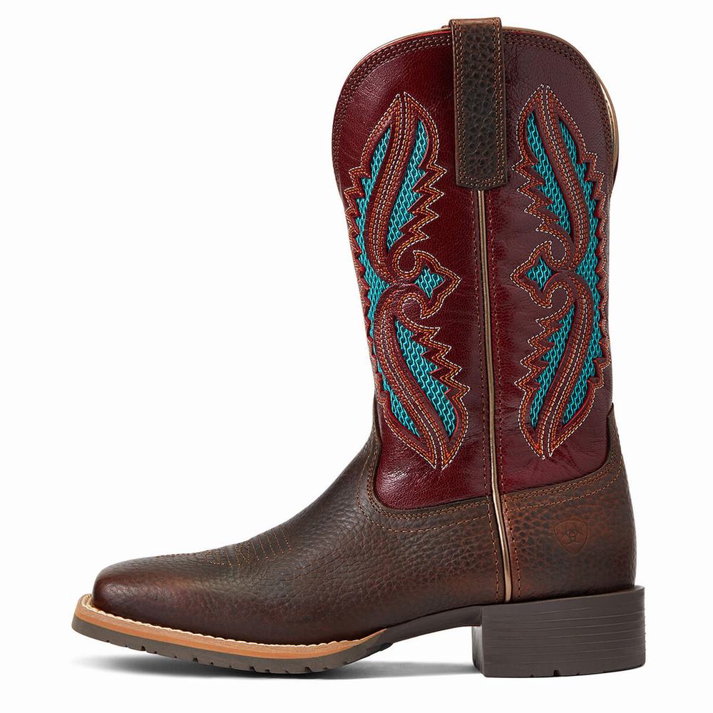 Ariat Hybrid Rancher VentTek 360 Western Stövlar Dam Bruna | 594-ZVMRSW