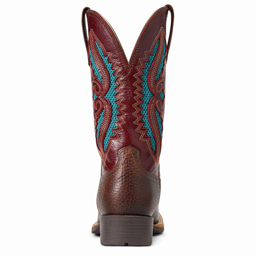 Ariat Hybrid Rancher VentTek 360 Western Stövlar Dam Bruna | 594-ZVMRSW