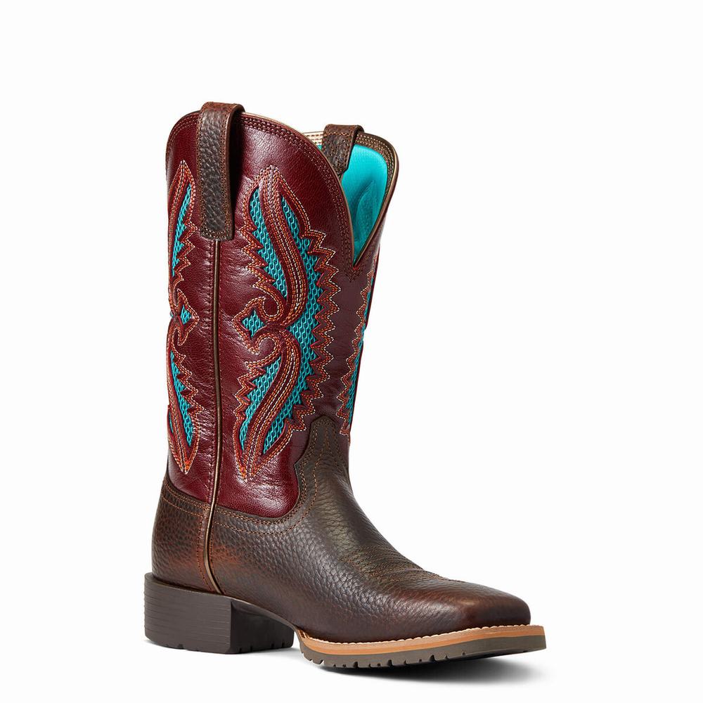 Ariat Hybrid Rancher VentTek 360 Western Stövlar Dam Bruna | 594-ZVMRSW