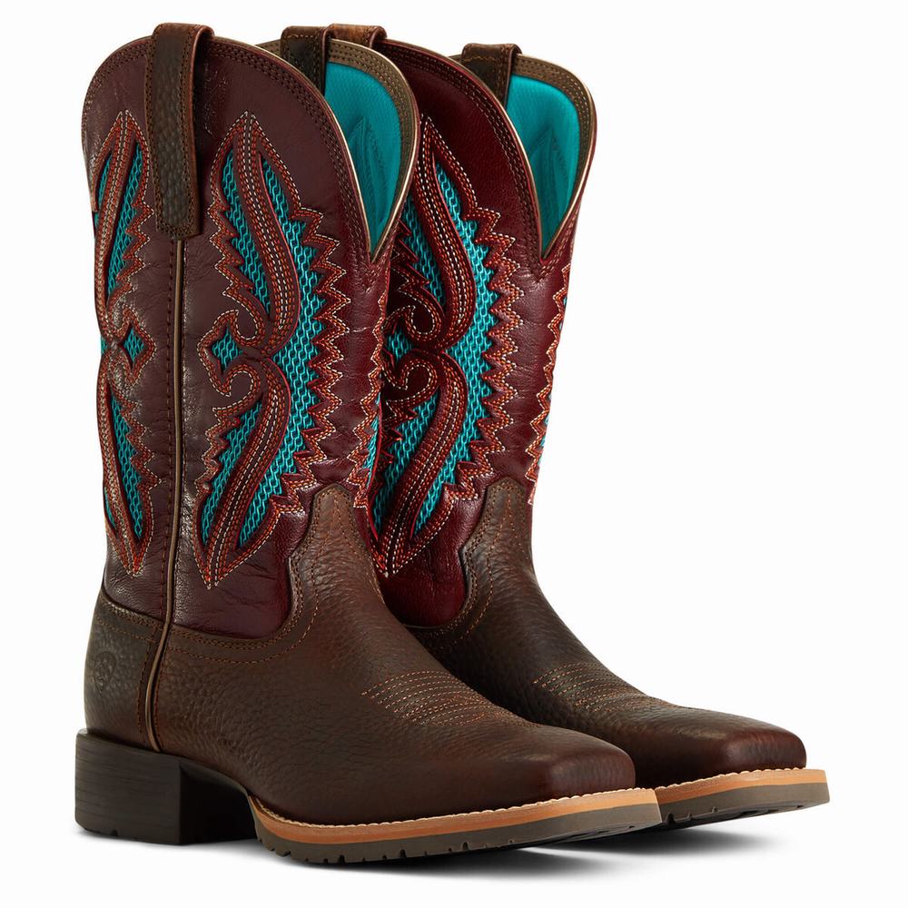 Ariat Hybrid Rancher VentTek 360 Western Stövlar Dam Bruna | 594-ZVMRSW