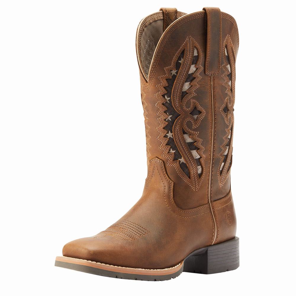 Ariat Hybrid Rancher VentTek 360 Western Stövlar Dam Bruna | 648-QPRZMF