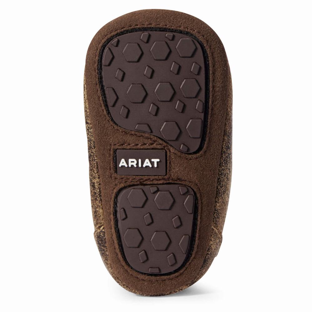 Ariat Infant Lil' Stompers Memphis Spitfire Casual Skor Barn Bruna | 431-ZVALNY