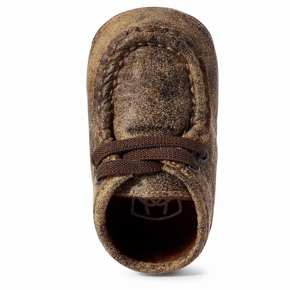 Ariat Infant Lil' Stompers Memphis Spitfire Casual Skor Barn Bruna | 431-ZVALNY