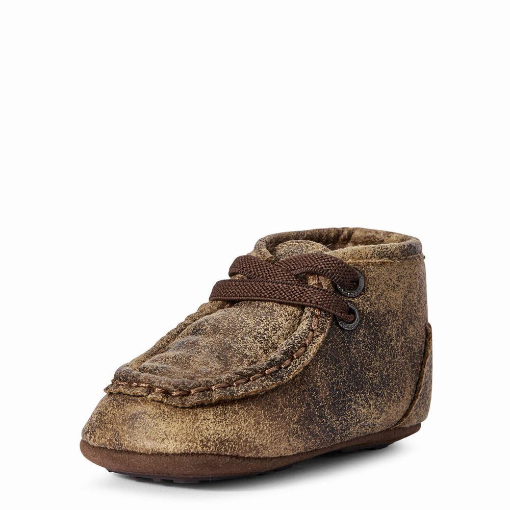 Ariat Infant Lil\' Stompers Memphis Spitfire Casual Skor Barn Bruna | 431-ZVALNY