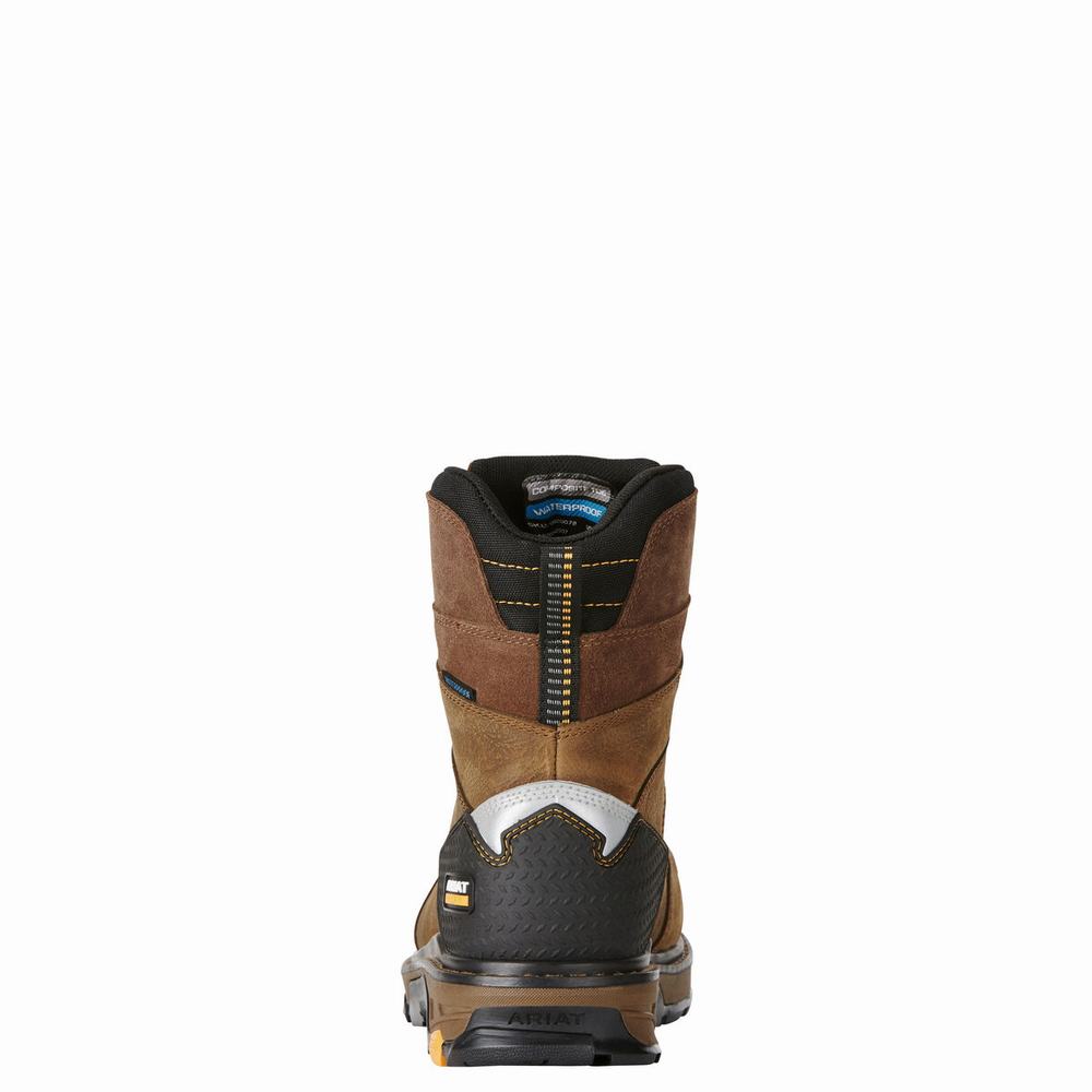 Ariat Intrepid 8