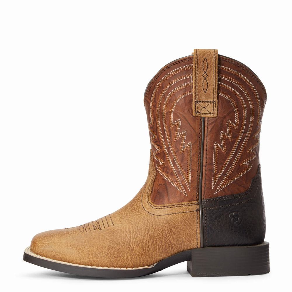 Ariat Lil' Hoss Western Stövlar Barn Olika Färger | 465-FRIMYX