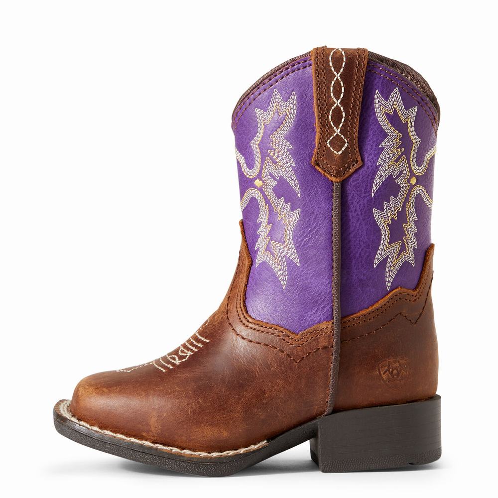 Ariat Lil' Stompers Calabasas Western Stövlar Barn Bruna | 139-PBQLTE