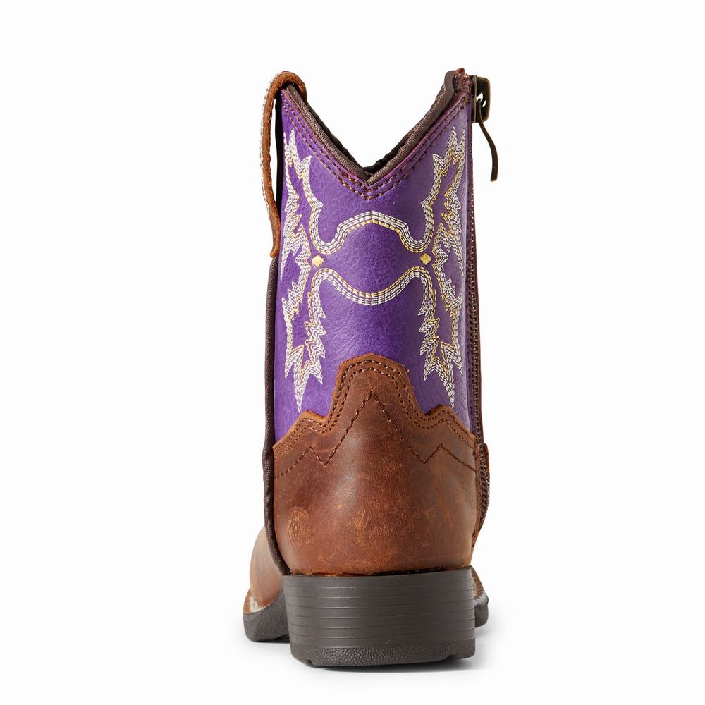 Ariat Lil' Stompers Calabasas Western Stövlar Barn Bruna | 139-PBQLTE