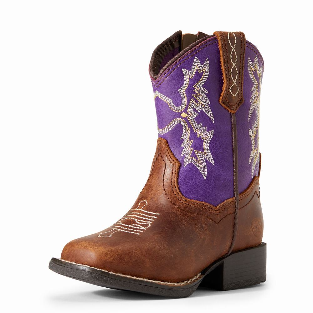 Ariat Lil\' Stompers Calabasas Western Stövlar Barn Bruna | 139-PBQLTE