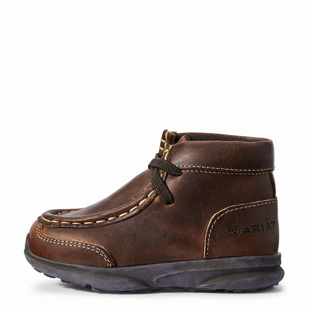 Ariat Lil' Stompers Garrison Spitfire Casual Skor Barn Bruna | 621-HURAWJ