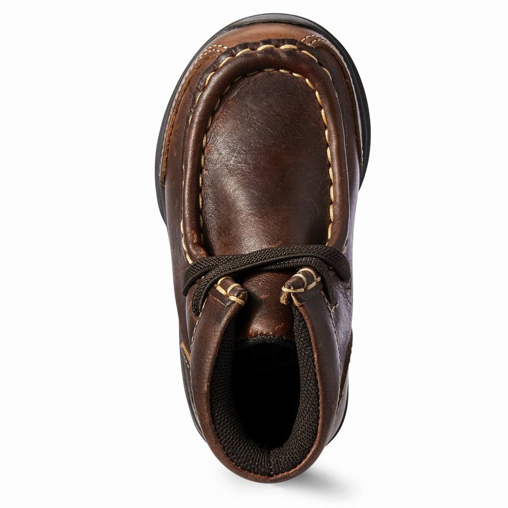 Ariat Lil' Stompers Garrison Spitfire Casual Skor Barn Bruna | 621-HURAWJ