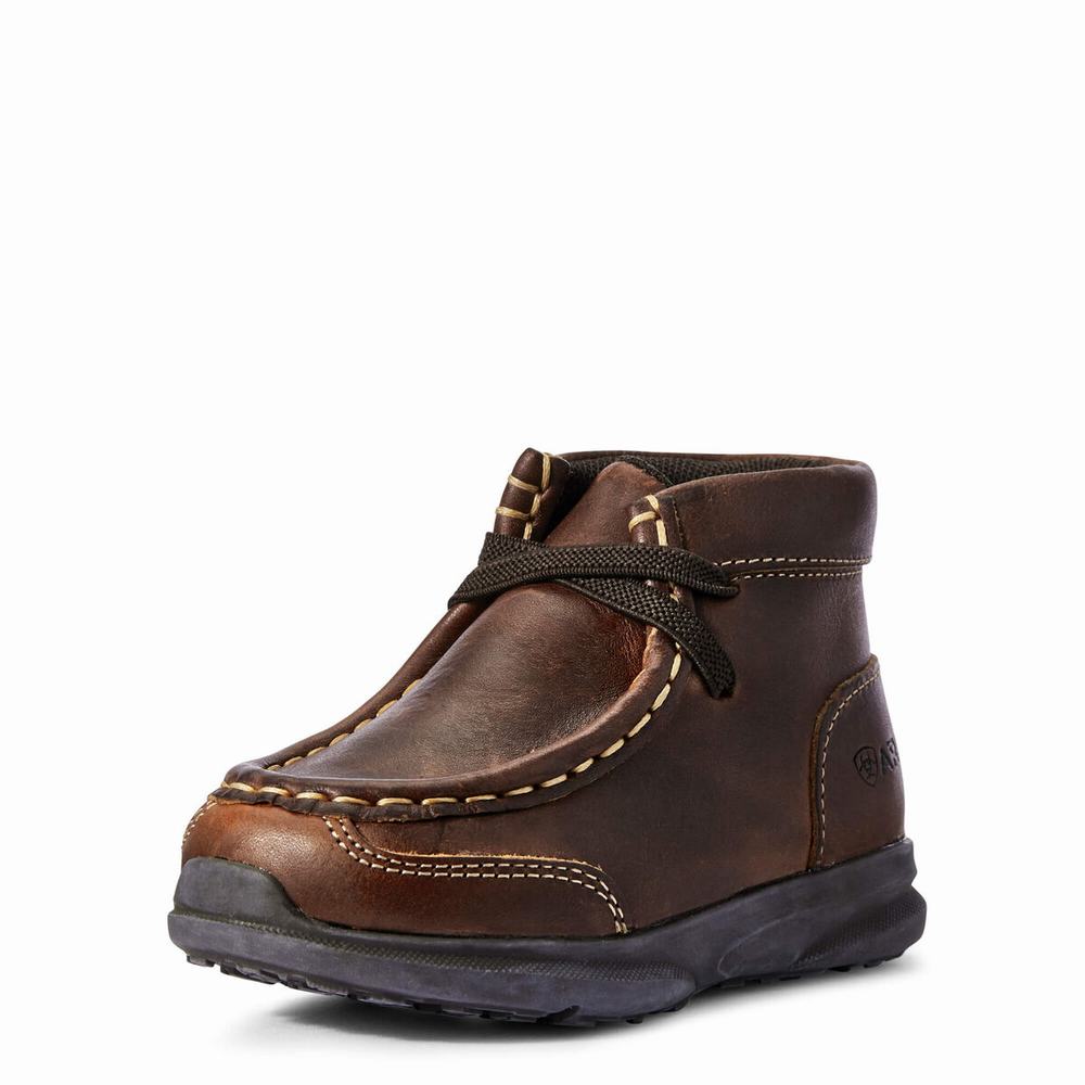 Ariat Lil\' Stompers Garrison Spitfire Casual Skor Barn Bruna | 621-HURAWJ