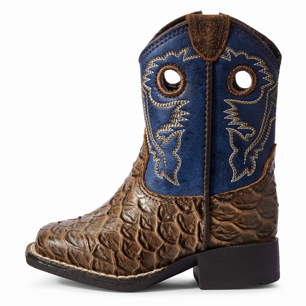 Ariat Lil' Stompers Orlando Western Stövlar Barn Bruna | 298-ZJOMLS