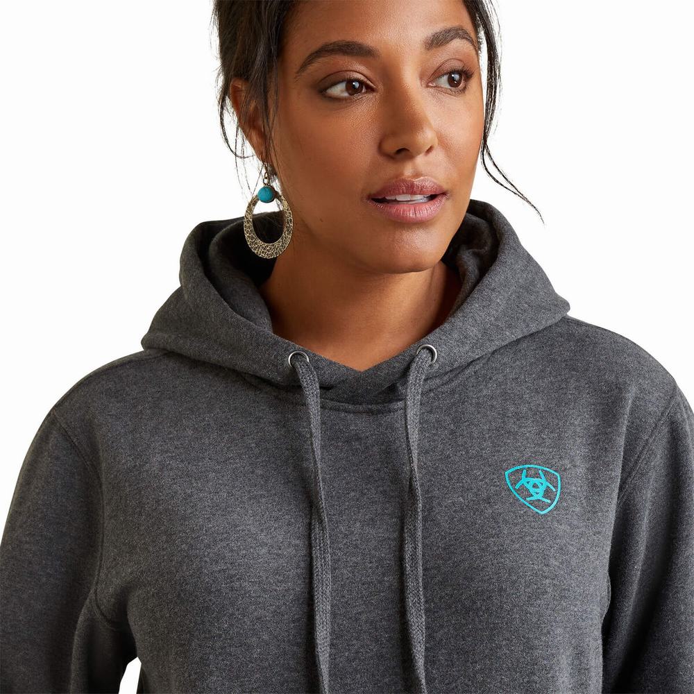 Ariat Logo Hoodie Dam Grå | 785-XDLOHC