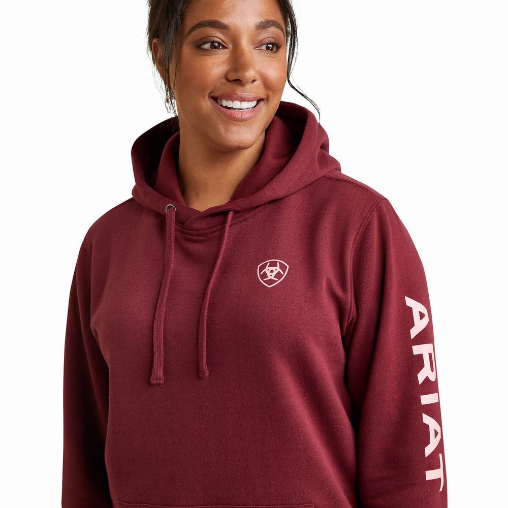 Ariat Logo Hoodie Dam Olika Färger | 384-POYNZQ