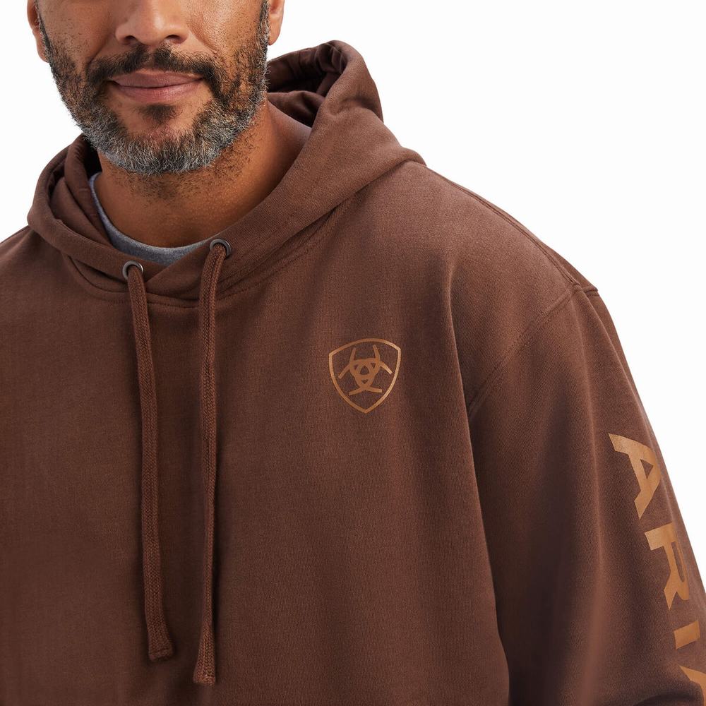 Ariat Logo Hoodie Herr Bruna | 982-HNJYFK