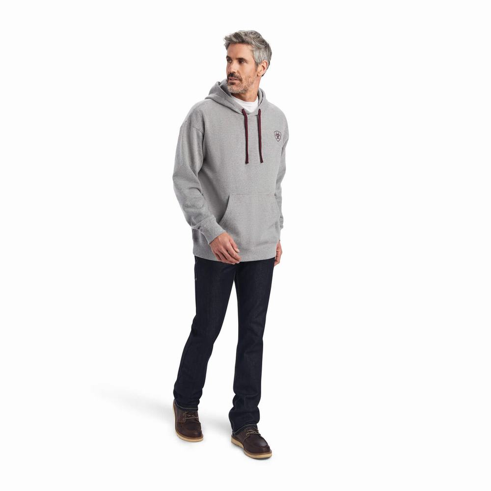 Ariat Logo Hoodie Herr Grå | 837-LXHNYJ