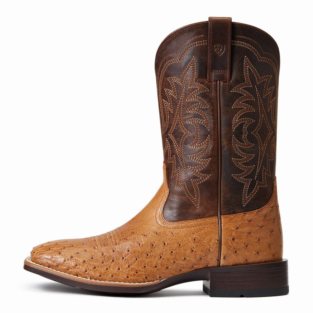 Ariat Night Life Ultra Western Stövlar Herr Olika Färger | 951-UDFTXY