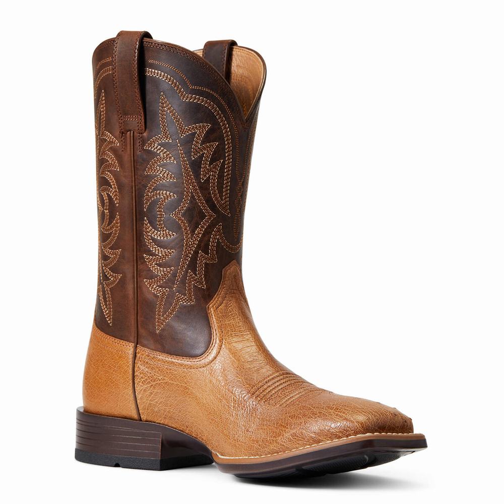 Ariat Night Life Ultra Western Stövlar Herr Olika Färger | 951-UDFTXY