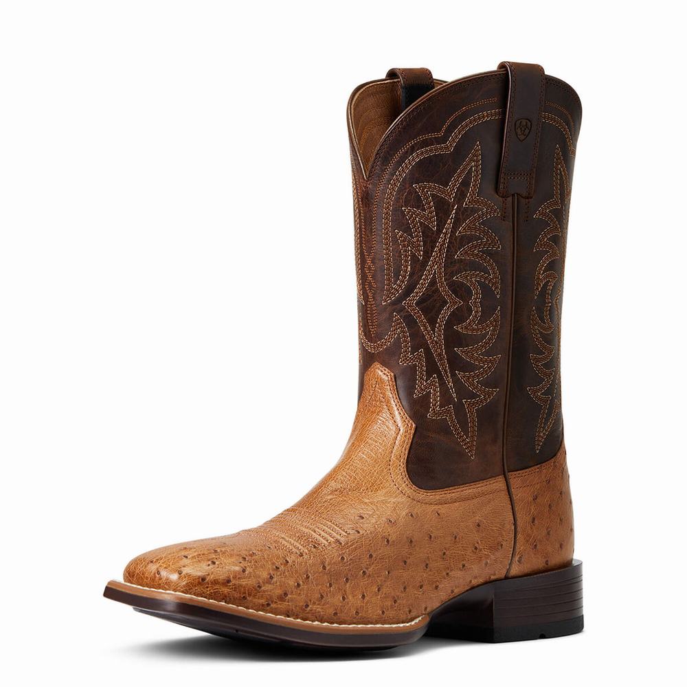 Ariat Night Life Ultra Western Stövlar Herr Olika Färger | 951-UDFTXY