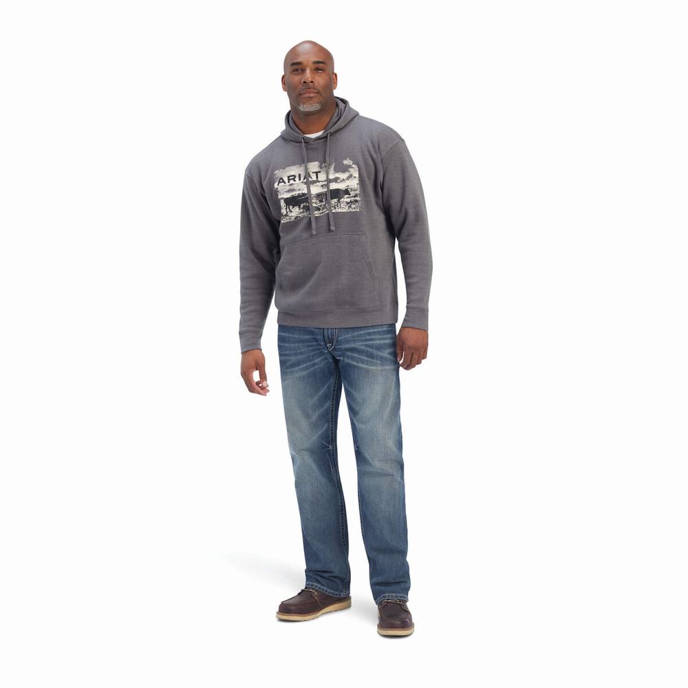 Ariat Pastures Hoodie Herr Grå | 682-JIOKTD