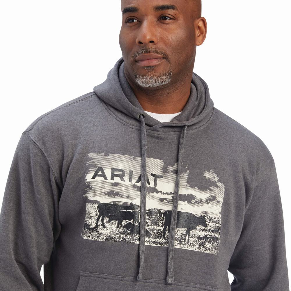 Ariat Pastures Hoodie Herr Grå | 682-JIOKTD