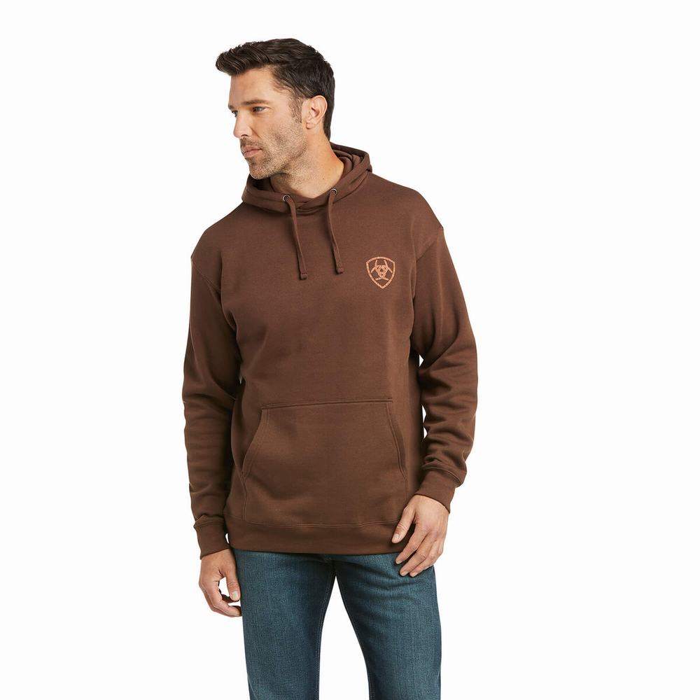 Ariat Patriot 2.0 Hoodie Herr Bruna Bruna | 562-SEVIPY