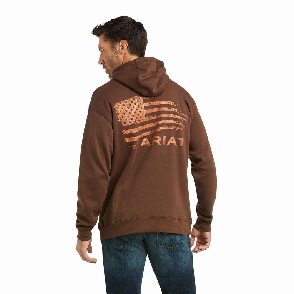 Ariat Patriot 2.0 Hoodie Herr Bruna Bruna | 562-SEVIPY