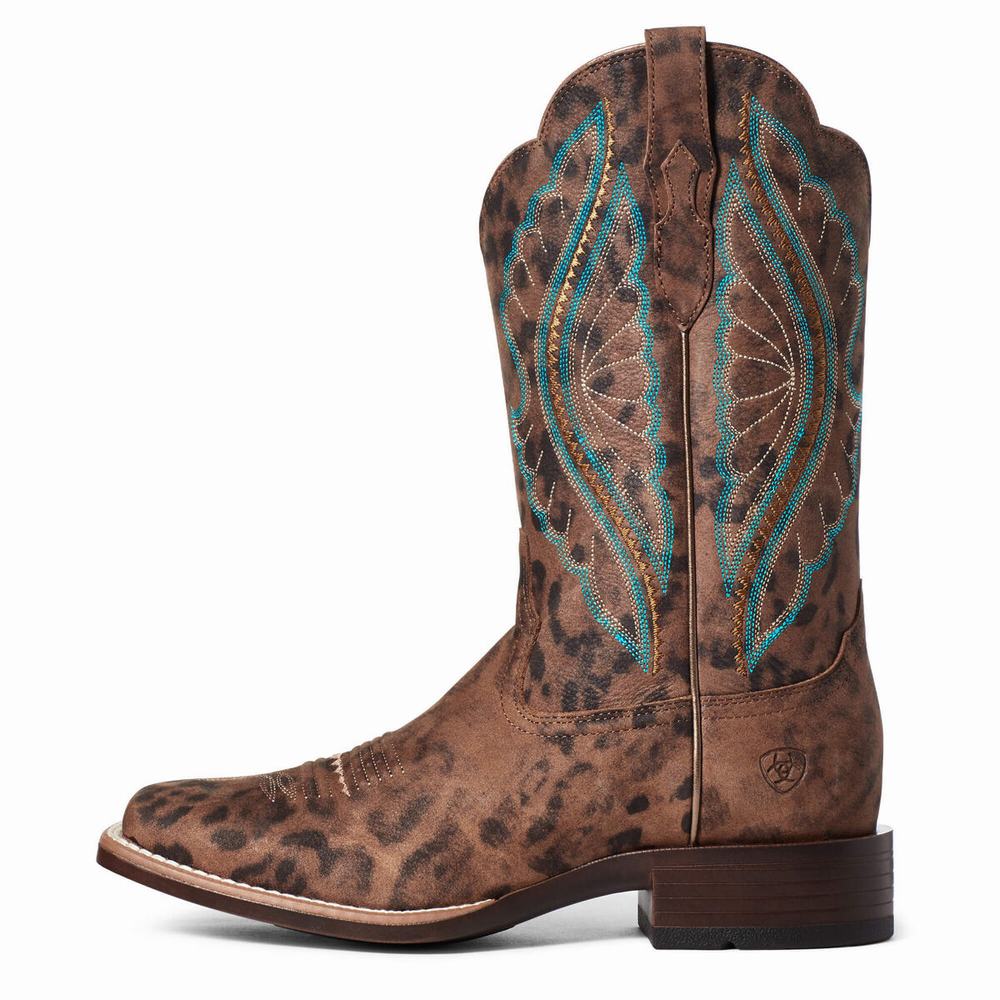 Ariat PrimeTime Western Stövlar Dam Leopard | 695-KHWSNV