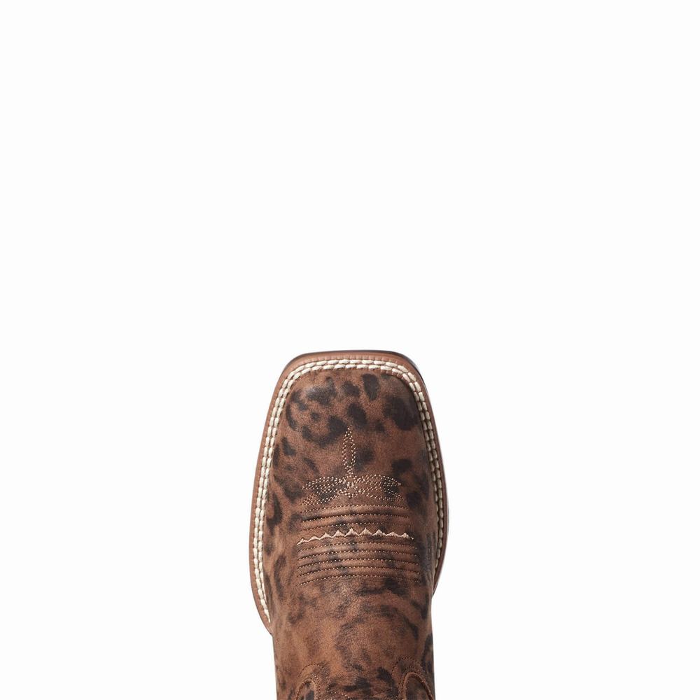 Ariat PrimeTime Western Stövlar Dam Leopard | 695-KHWSNV