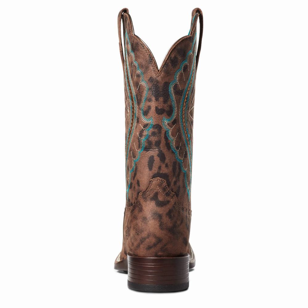 Ariat PrimeTime Western Stövlar Dam Leopard | 695-KHWSNV