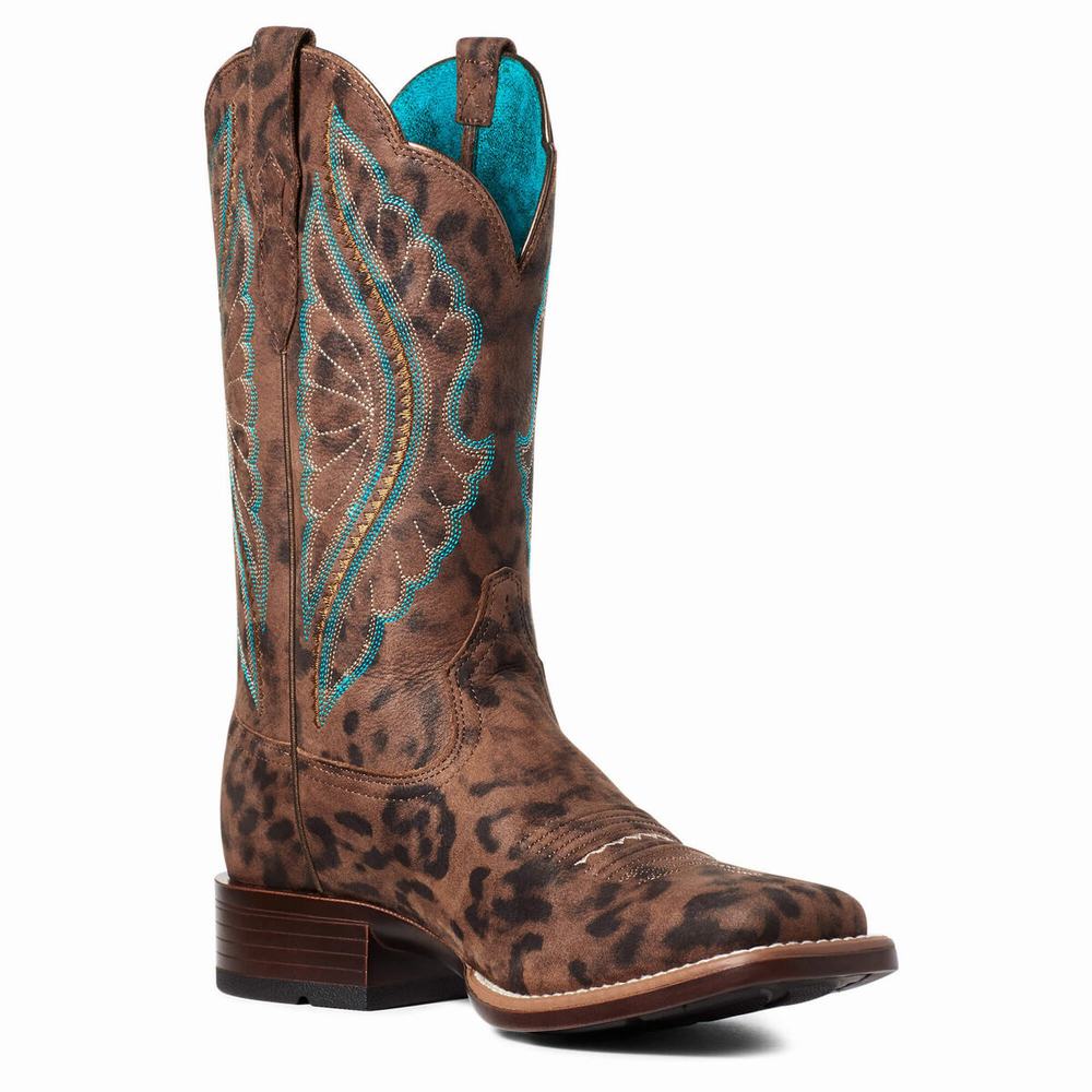 Ariat PrimeTime Western Stövlar Dam Leopard | 695-KHWSNV