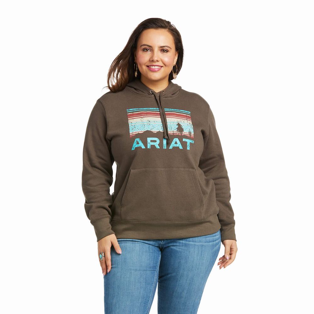 Ariat REAL Arm Logo Hoodie Dam Bruna | 158-UMPGOH